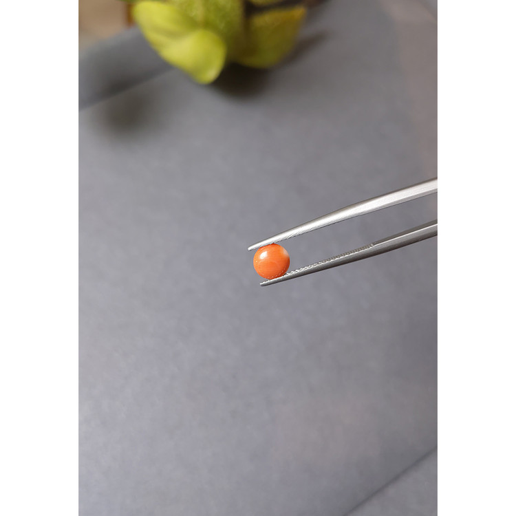 0.51 Ct. Cabochon Coral from Italy