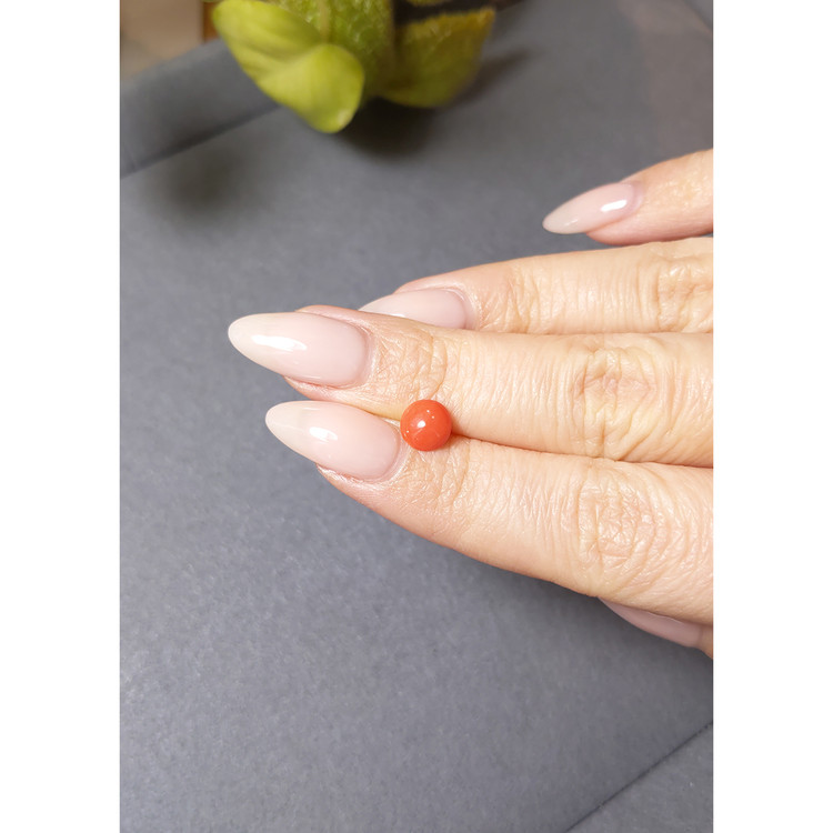 0.84 Ct. Cabochon Coral from Italy