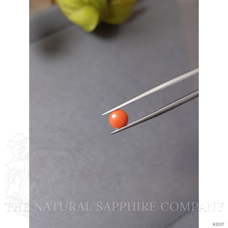 0.84 Ct. Cabochon Coral from Italy