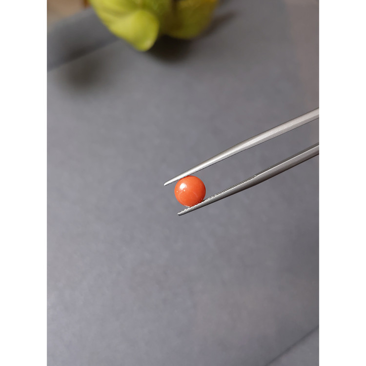 0.84 Ct. Cabochon Coral from Italy