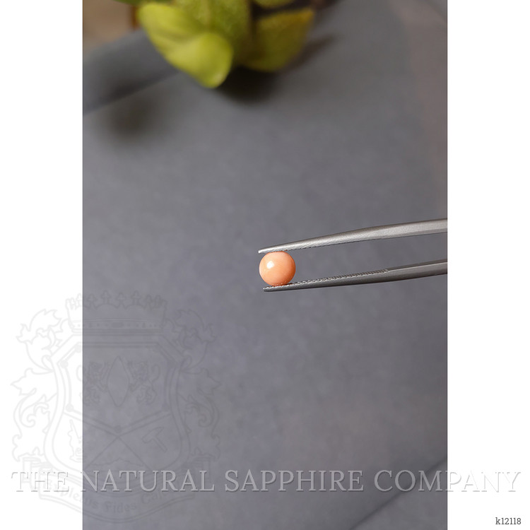 0.53 Ct. Cabochon Coral from Italy