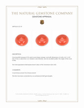 0.78 Ct. Cabochon Coral from Italy Appraisal