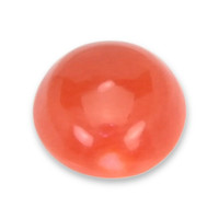 0.78 Ct. Cabochon Coral from Italy Video