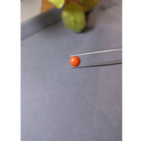 0.78 Ct. Cabochon Coral from Italy Life Style