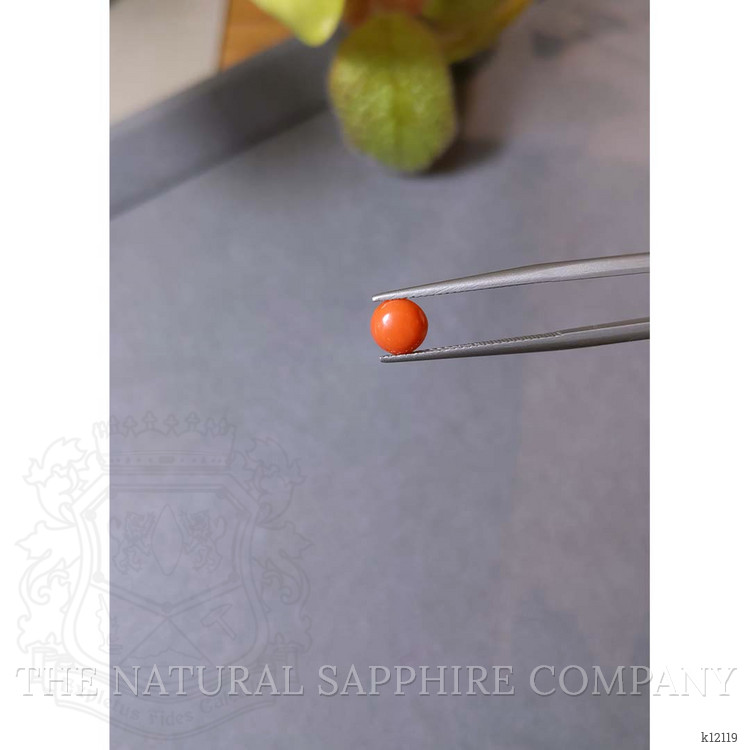 0.78 Ct. Cabochon Coral from Italy