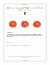 1.92 Ct. Salmon (Orange) Cabochon Coral from Italy Appraisal