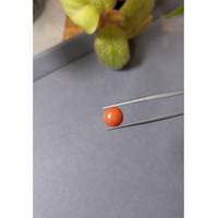 2.18 Ct. Cabochon Coral from Italy Life Style
