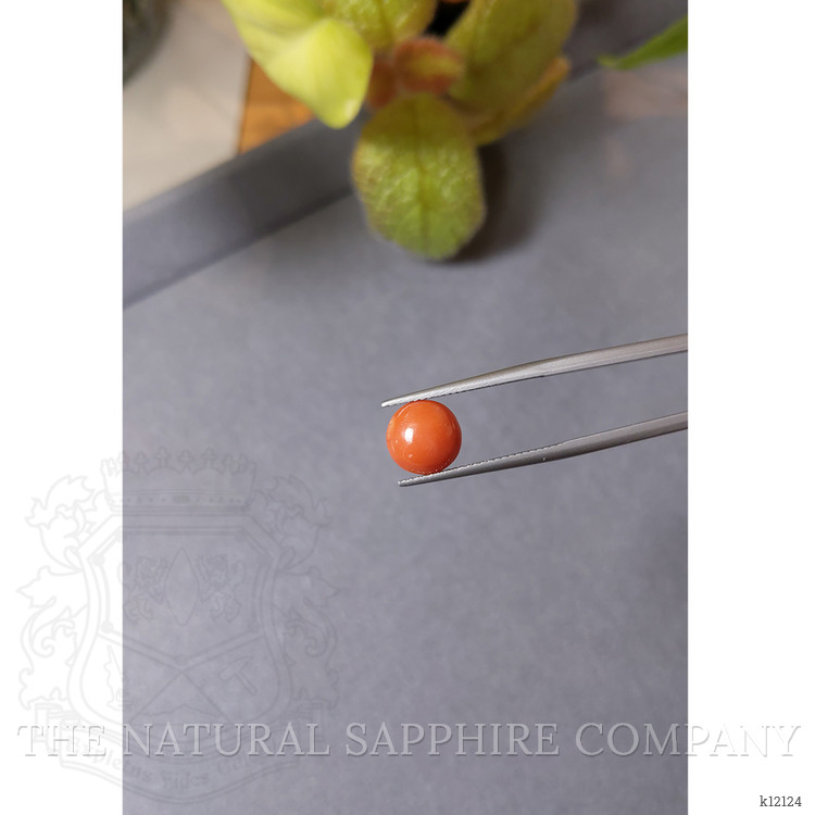 2.18 Ct. Cabochon Coral from Italy