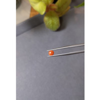 0.24 Ct. Cabochon Coral from Italy Life Style