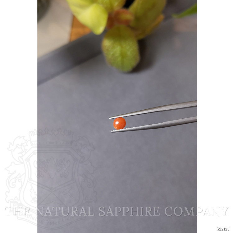 0.24 Ct. Cabochon Coral from Italy