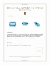 9.10 Ct. Aquamarine from Mozambique Appraisal