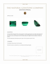 8.35 Ct. Tourmaline from Ceylon (Sri Lanka) Appraisal