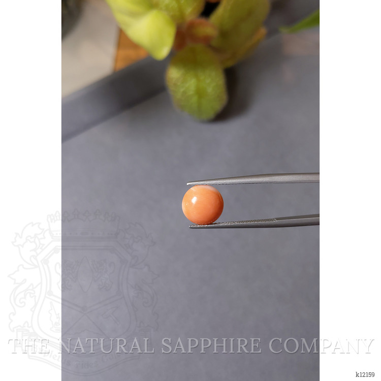 2.29 Ct. Cabochon Coral from Italy