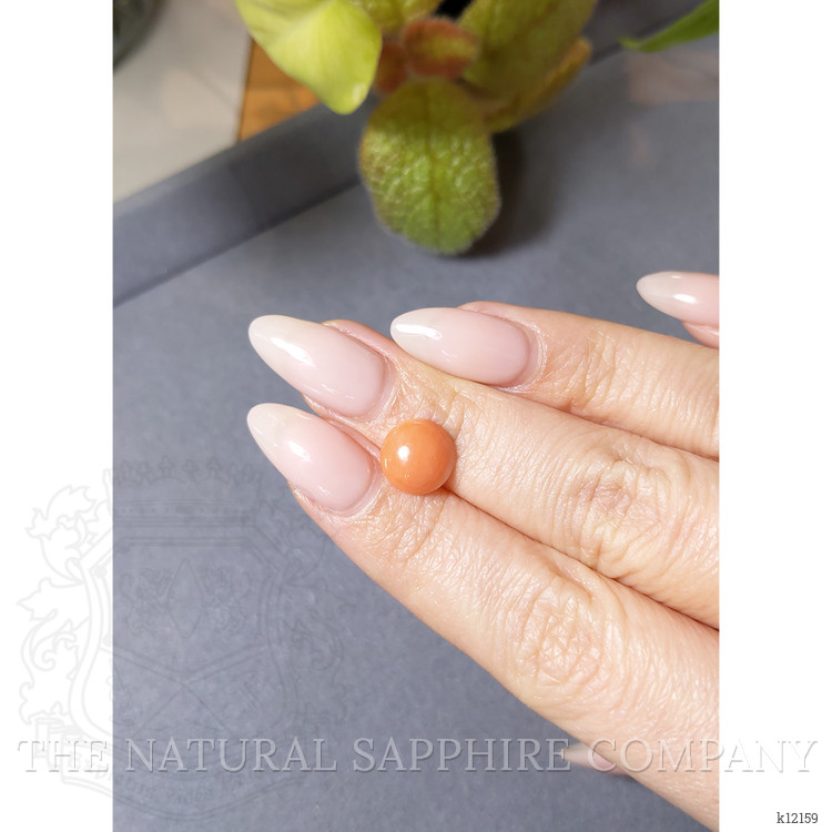 2.29 Ct. Cabochon Coral from Italy