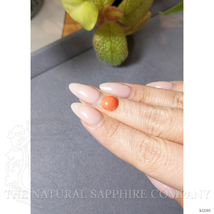 1.99 Ct. Cabochon Coral from Italy