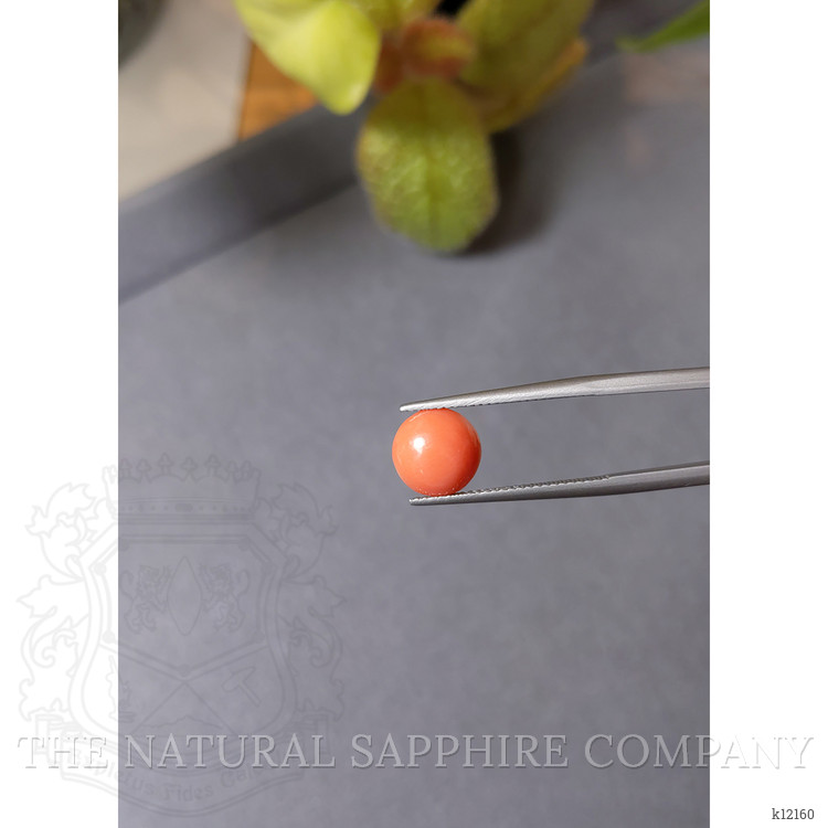 1.99 Ct. Cabochon Coral from Italy
