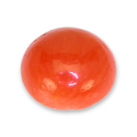 0.24 Ct. Cabochon Coral from Italy Video