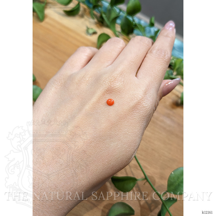 0.24 Ct. Cabochon Coral from Italy