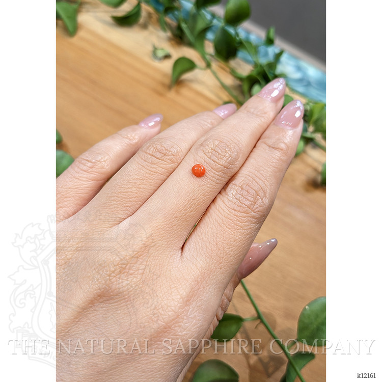 0.24 Ct. Cabochon Coral from Italy