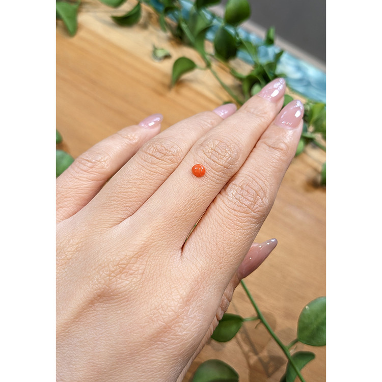 0.24 Ct. Cabochon Coral from Italy