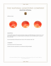2.06 Ct. Cabochon Coral from Italy Appraisal