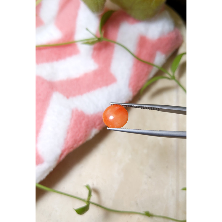 2.06 Ct. Cabochon Coral from Italy