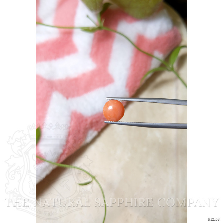 1.43 Ct. Cabochon Coral from Italy