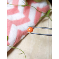 1.37 Ct. Cabochon Coral from Italy Life Style