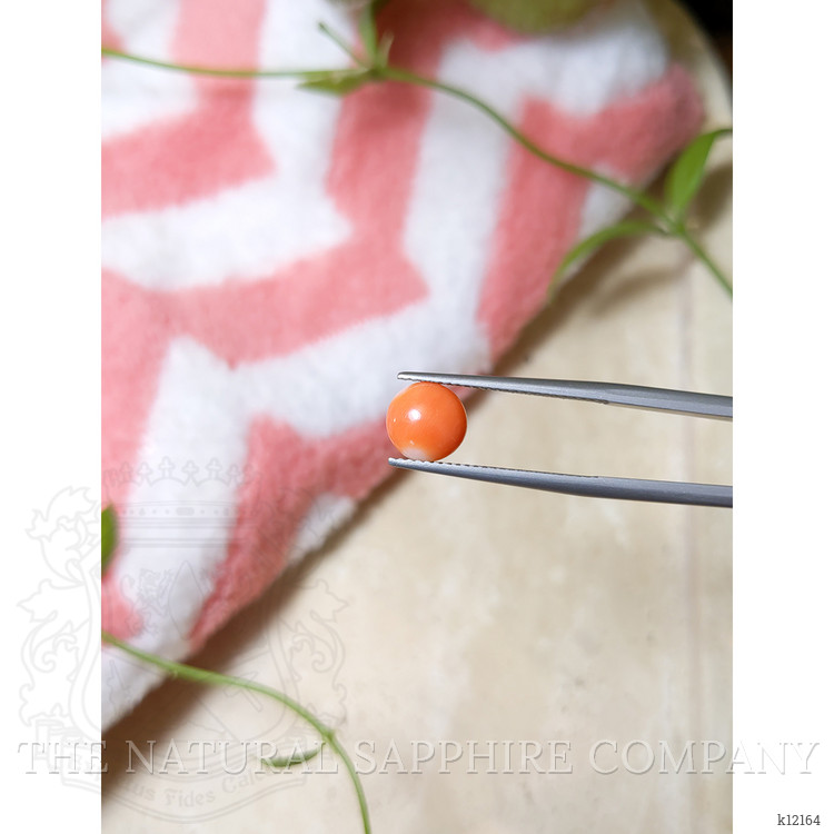 1.37 Ct. Cabochon Coral from Italy