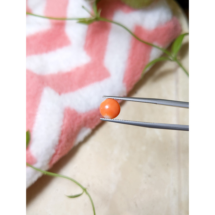 1.37 Ct. Cabochon Coral from Italy