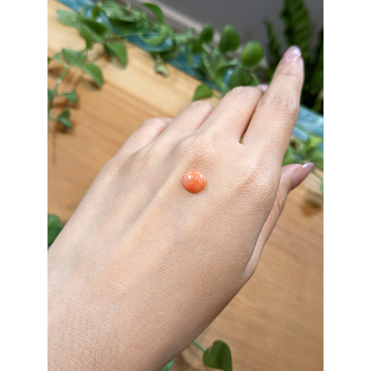 1.31 Ct. Cabochon Coral from Italy