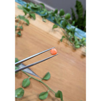 1.31 Ct. Cabochon Coral from Italy Life Style