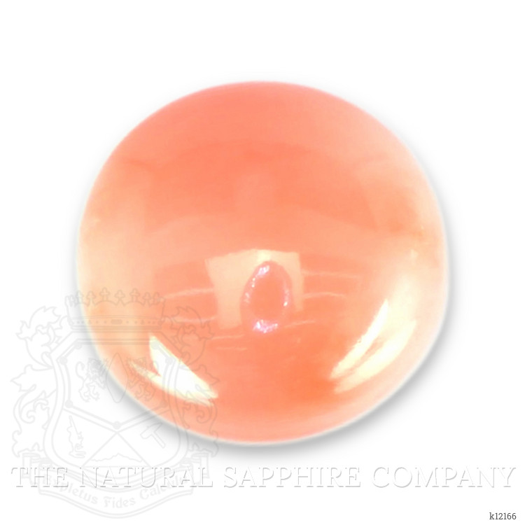 0.73 Ct. Cabochon Coral from Italy
