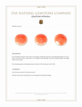 0.58 Ct. Angel Skin (Peach) Cabochon Coral from Italy Appraisal