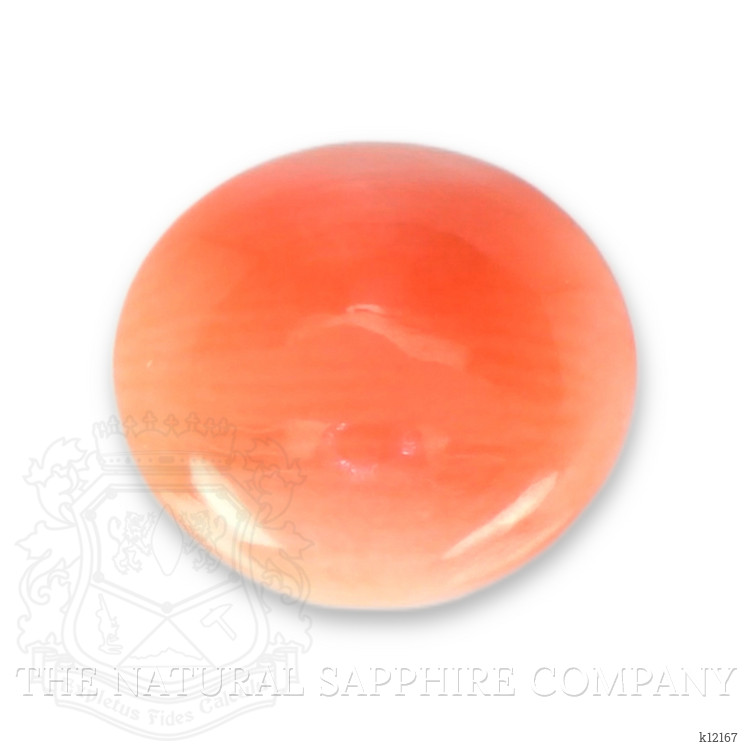0.57 Ct. Cabochon Coral from Italy