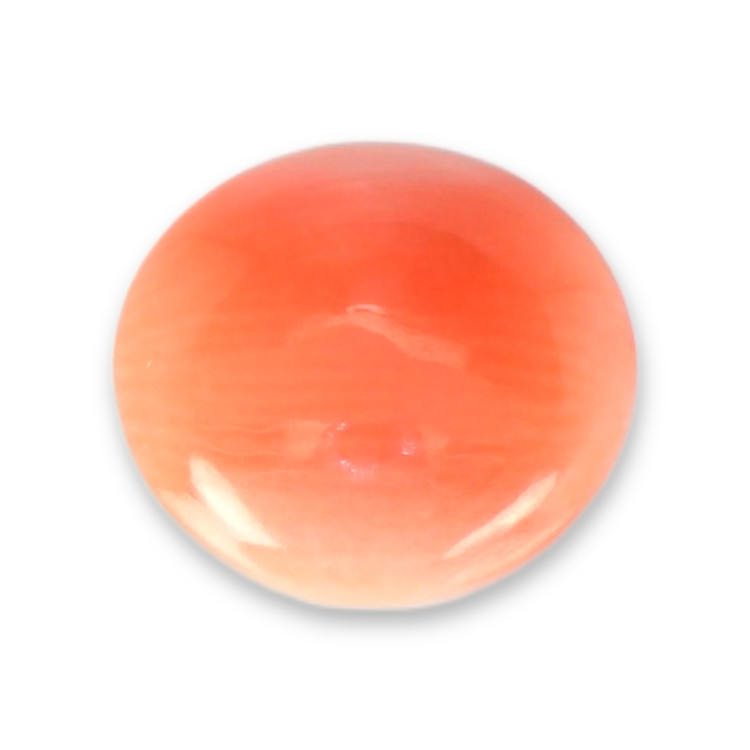 0.57 Ct. Cabochon Coral from Italy