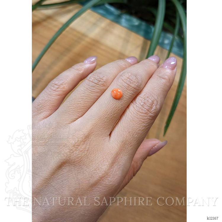 0.57 Ct. Cabochon Coral from Italy