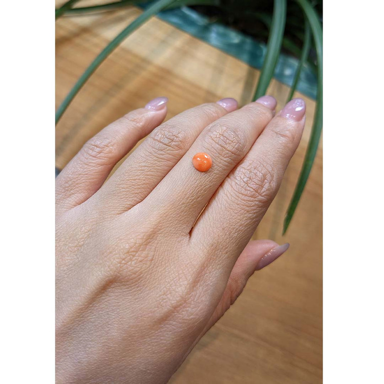 0.57 Ct. Cabochon Coral from Italy