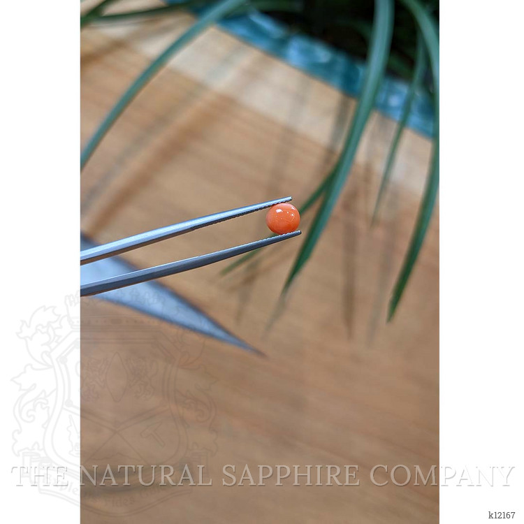 0.57 Ct. Cabochon Coral from Italy