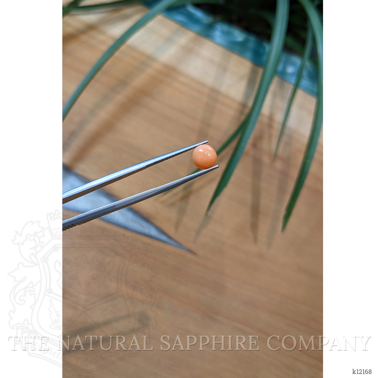 1.58 Ct. Cabochon Coral from Italy