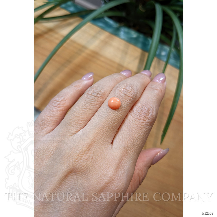 1.58 Ct. Cabochon Coral from Italy