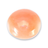 0.38 Ct. Cabochon Coral from Italy Video