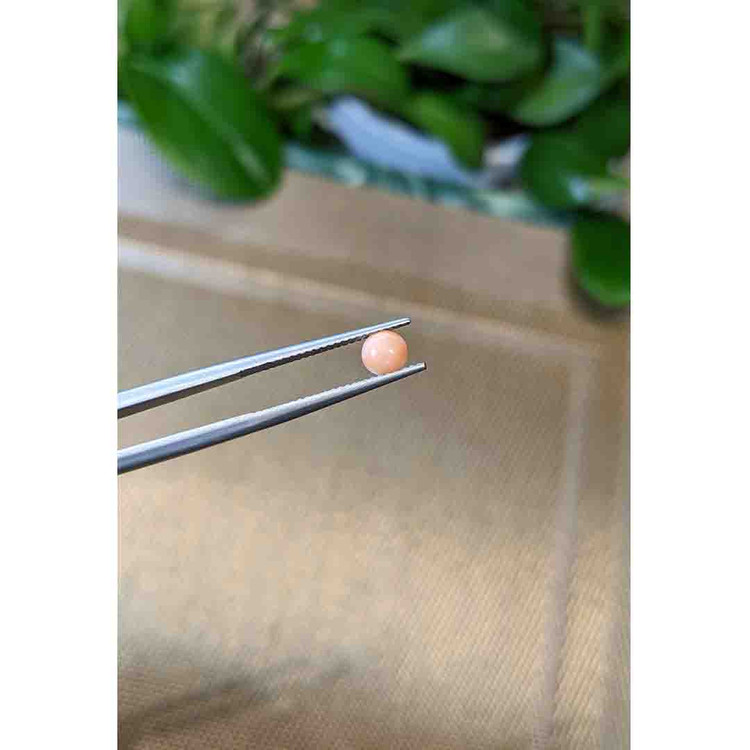 0.38 Ct. Cabochon Coral from Italy
