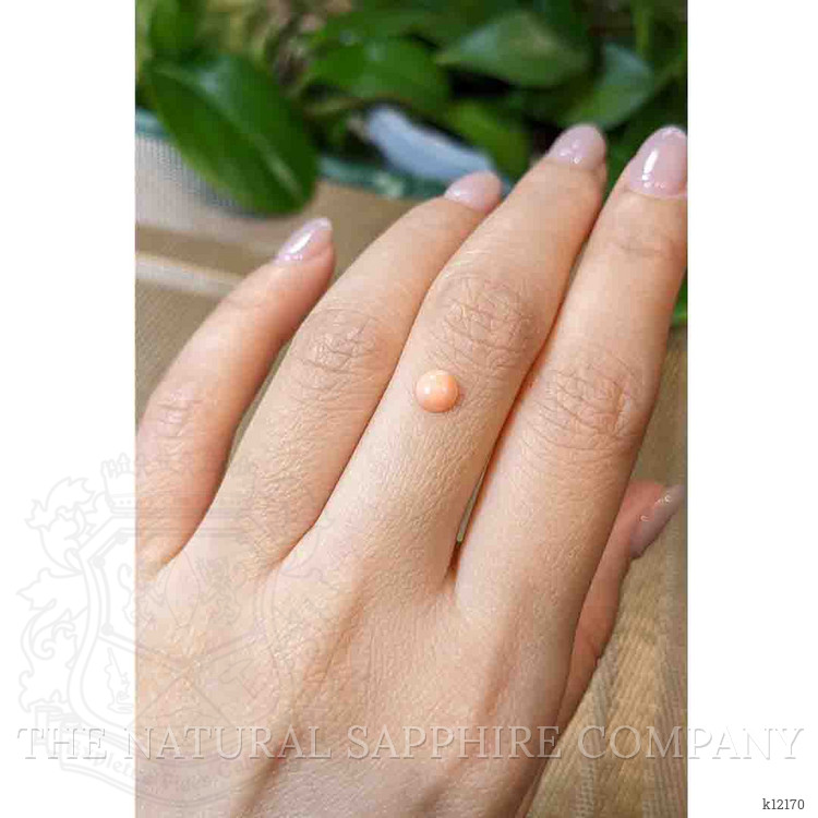 0.38 Ct. Cabochon Coral from Italy