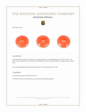 0.43 Ct. Salmon (Orange) Cabochon Coral from Italy Appraisal