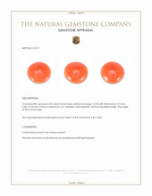 0.43 Ct. Salmon (Orange) Cabochon Coral from Italy Appraisal