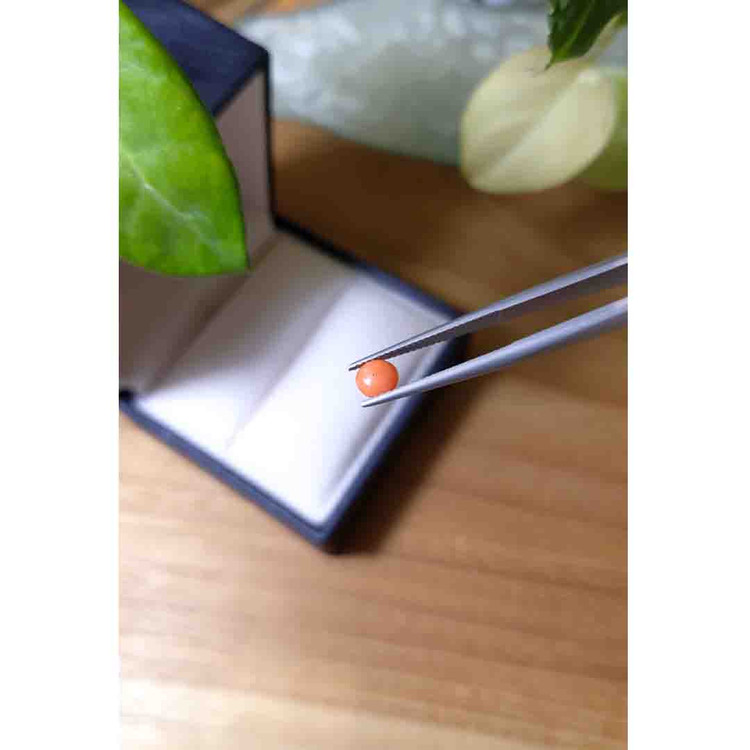 0.43 Ct. Cabochon Coral from Italy