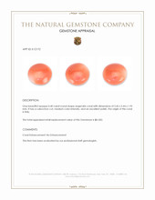 0.40 Ct. Cabochon Coral from Italy Appraisal