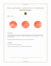 0.40 Ct. Angel Skin (Peach) Cabochon Coral from Italy Appraisal