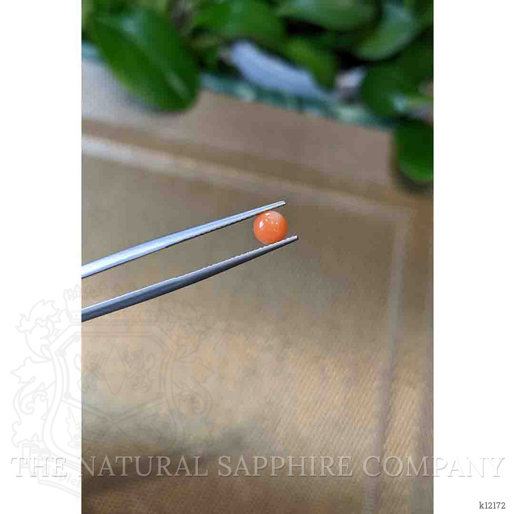 0.40 Ct. Cabochon Coral from Italy
